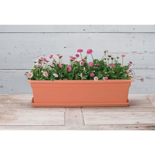 Root & Vessel 10245, Terracotta, Countryside Flower Box Tray, Medium (22.25" x 6.5") - color: Terracotta, size: 22.3" x 6.5" x 1"