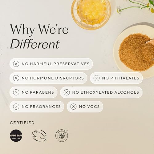 Branch Basics Premium Kit: All-Purpose, Glass, Bathroom, Hand Wash, Laundry | Refillable Plastic Bottles + Concentrate, Oxygen Boost. Fragrance-Free, Human-Safe, Plant-Based Formulas - style: Plastic Spray Bottles