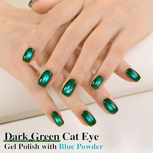 Double Rhythm Jelly Glass Cat Eye Gel Polish with Magnet 15ML Holographic Glitter Shimmer Translucent Sheer Color Magnetic Nail Polish Salon DIY at Home (Dark Green-MC1263) - color: Aurora Dark Green