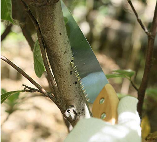 11 inch Straight Hand Pruning Saw