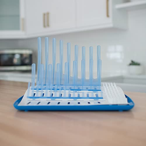 Dr. Brown's Baby Bottle Cleaning Brush with Sponge and Scrubber - Blue - 3pk and Universal Baby Bottle and Accessory Drying Rack - color: Blue Bottle Brush & Drying Rack, size: 3-Pack
