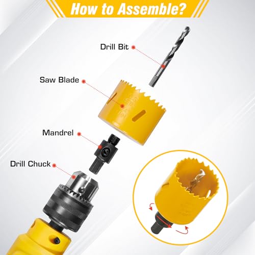 Becowin Bi-Metal Hole Saw Kit, 7PCS Hole Saw Set for Metal, Wood, PVC