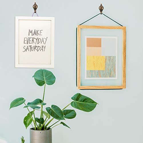 Hotop 30 Pieces Push Pin Hooks Picture Hanging Nails, Bronze - color: Bronze, style: Retro Style