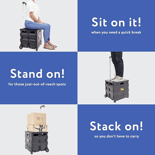 dbest Products Quik Cart Standard Collapsible Rolling Crate - Black - color: Black, style: Standard