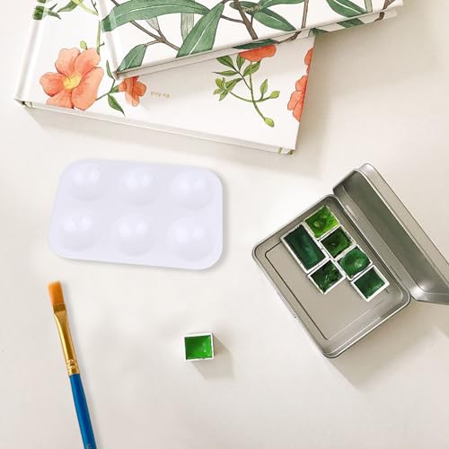 LNAUJS Paint Brush and Paint Tray Palette Set, 10 PCS Nylon Hair Brushes and 1 Pack 6 Well Plastic Paint Palette
