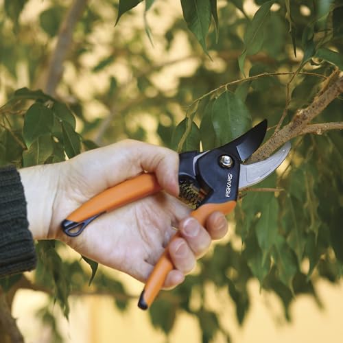 Fiskars SoftGrip Bypass Pruning Shears, 5/8” Cut Capacity Garden Clippers - style: Soft Grip Pruner