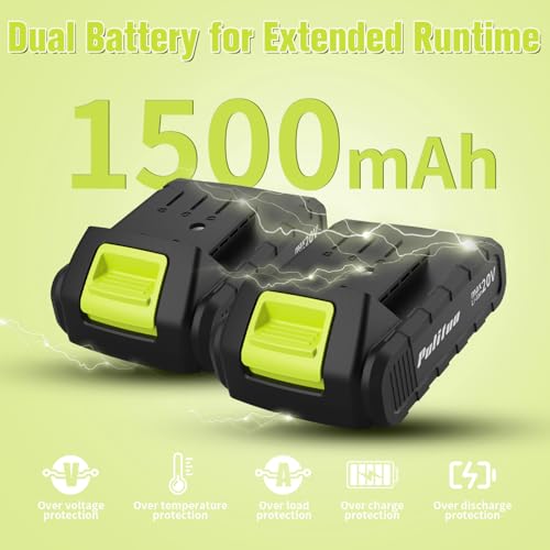 PULITUO'S 20V Cordless Drill/Driver, Electric Screwdriver - 2 Batteries, 30Nm, 21+1 Torque, 2 Speed, Keyless 3/8" Chase Drill with LED Light, Kit for Home (Green) - style: 20V Drill (green)- double