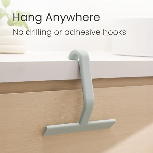 dancemoon JustHang Shower Squeegee with Built-in Hook, 10-Inch Sage Green - color: Sage Green