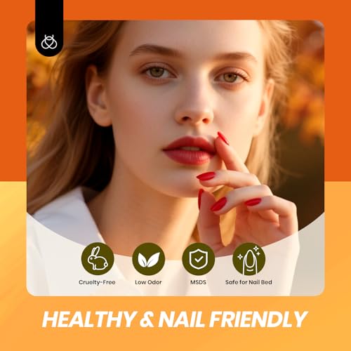 Beetles Jelly Gel Nail Polish Set, 6 Colors Fall Gel Polish Kit - color: 0-0-Autumn Prism