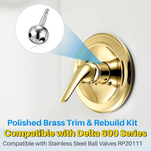 Shower Trim Kit Compatible with Delta RP54870, Lever, Polished Brass - color: Polished Brass