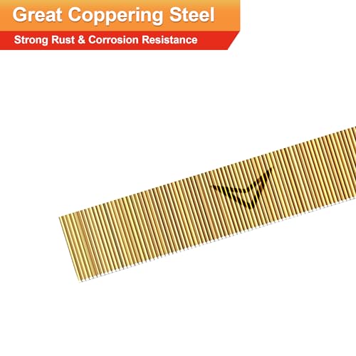 23 Gauge Pin Nails,Headless Pinner,1/2",10000pcs - size: 1/2"---10000pcs