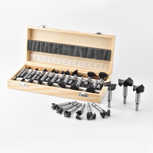 Mollom 16Pcs Carbide Forstner Drill Bit Set (6.3-43mm) - size: 16Pcs | 6.3-54mm