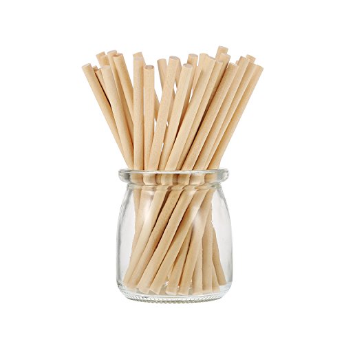 EBOOT 100 Pack Unfinished Natural Wood Craft 6 x 1/4 Inch Wooden Dowel Rods