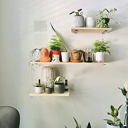 Shelf Brackets 12 Inch Wall L Brackets 4PCS Heavy Duty for Shelves Metal White Rustic Industrial Brackets for DIY Opening Shelves Project Hardware Included - size: 12 Inch, style: White-4 Pack