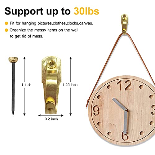 FUZANWJ 30lbs Earthquake Picture Hangers, Picture Hanging Hooks,30pcs