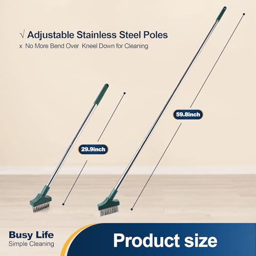 Yocada Moss Remover - Crevice Cleaning Tool, Moss Brush, Wire Metal Brush