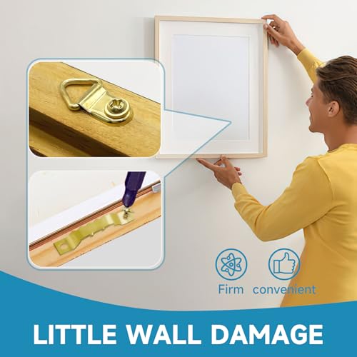 Picture Hanging Kit ,353PCS Picture Hangers Heavy Duty Picture Hanging Hooks with Screws,Sawtooth Hardware for Frames Painting, Art, Photo Mounting