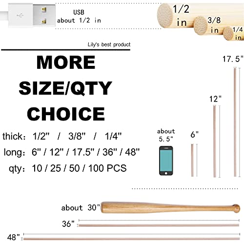 HOPELF 10PCS Dowel Rods - 3/8 x 48 Inch Bamboo Sticks - for Crafts, Hardwood & Wooden Rods Assortment - size: 3/8" x 48"