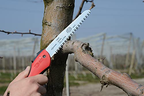 Felco Folding Saw (F 600) - Classic Tree Pruning Saw with Pull-Stroke Action, Red - size: 6.3 in (Folding)