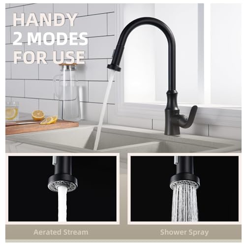 Angle Simple Kitchen Faucet Head Matte Black, NSF/ANSI/CAN 61 & 372 Tested - color: Matte Black