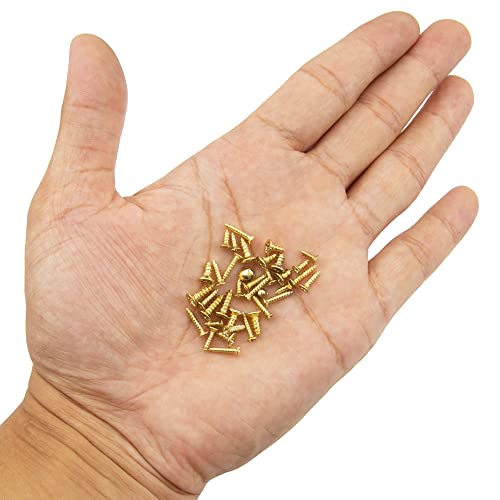 1150Pcs M2 M3 Gold Plate Carbon Steel Small Screws Phillips Flat Head Cross Self Tapping Tiny Screw Cabinet Electronic Accessories Screw DIY Micro Woodworking Mini Screw Assortment Kit