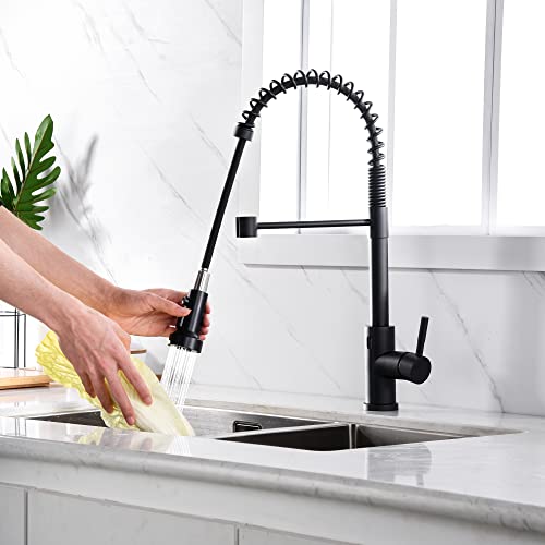 TIORIY Kitchen Faucet Head Replacement Black, with 15 Adapters Plastic Pull Down Faucet Spray Head, 3 Modes Pull Out Kitchen Sink Sprayer Nozzle, Matte Black - color: Matte Black, style: Blade Spray