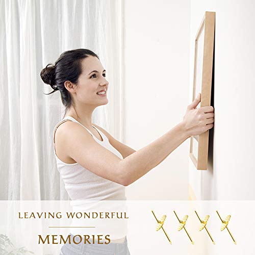60pcs Picture Hangers, 20lbs Picture Hanging Hooks, Iron Alloy Nail Hooks, Professional Plaster Picture Hanging Kit on Wooden/Drywall Hanging Hardware for Clock,Mirror,Jewelry Golden (Pack of 2) - size: 20LBS (Pack of 2)