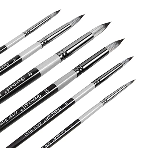 Genixart Round Paint Brush Set – Art Paintbrushes Acrylic Oil Watercolor - size: Round - 6 Pcs