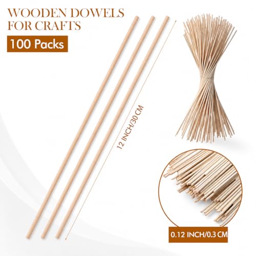Eboot 100 Pack Craft Dowel Rods, 12 x 1/8 Inch Wood Sticks