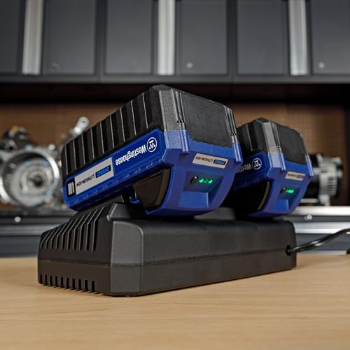 Westinghouse W24V2DP 24 Volt 2.2 Amp Dual Port Fast Charger, 120V, Universal 24V Lithium-ion Battery Charger, Compatible with Westinghouse 24V Batteries (W24V2AH, W24V4AH, W24V5AH, W24V8AH 24V) - style: Dual Port Fast Charger