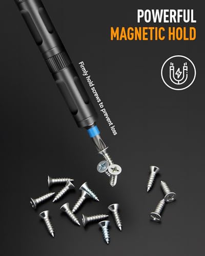 DISEN 43PCS Ratcheting Screwdriver Set T-Handle 40 Bits S2 Steel - style: 43PCS