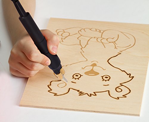 TRUArt (Stage 2) Single Pen Professional Woodburning Detailer 60W Tool with Digital Temperature Control, 40 Tips, Case