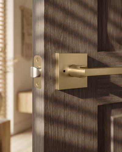 Goldenwarm Champagne Bronze Door Handles Interior Privacy, Vintage 6 Pack - color: Champagne Bronze
