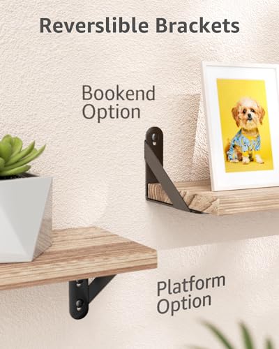 4x3 Shelf Brackets 6 Pack Wall Mount Includes Screws Anchors (Black) - color: Black, size: 4"x3" (6 PACK)