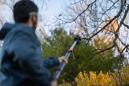 WEN 20V Max Cordless 2-in-1 6-Inch Chainsaw and Pole Saw with 12.3-Foot Reach, 4Ah Battery and Charger (20751) - style: 20V 6 in. Chainsaw & Pole Saw