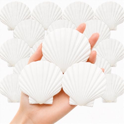 denking Scallop Shells, 20 PCS, 2.7-3.1 Inch - color: 20pcs 2.7"-3.1"