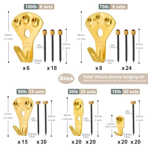 181pcs Picture Hanging Kit Heavy Duty Hooks 10-100lbs for Drywall