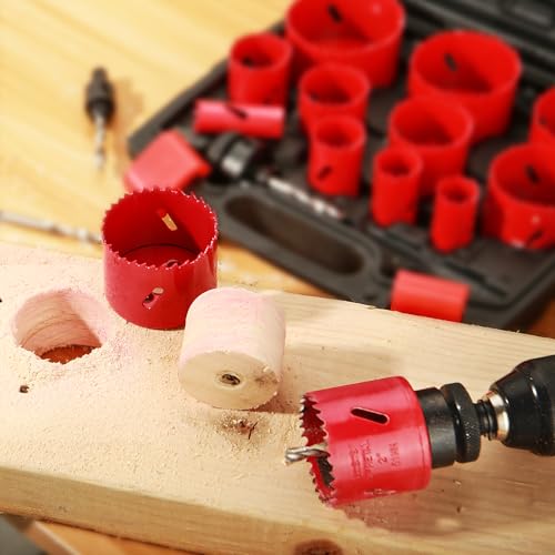 Bi-Metal Hole Saw Kit, HYCHIKA 17 Pcs High Speed Steel 3/4" to 2-1/2" Hole Saw Set in Case with Mandrels, Hole Saw Bit for Metal, Drilling PVC Board,and Plastic Plate