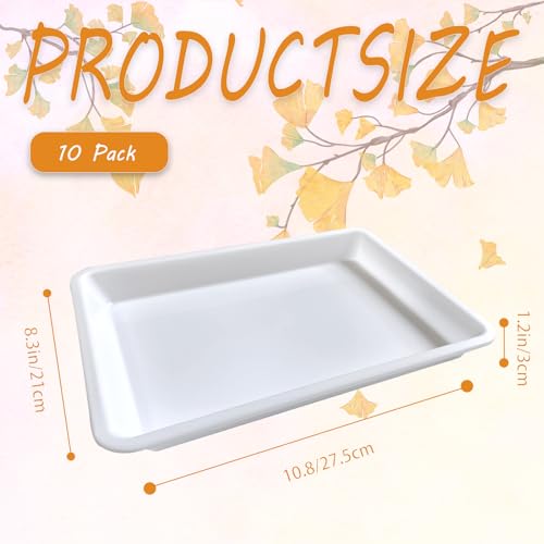 10PCS Plastic Art Trays,White Activity Tray,Crafts Organizer Tray,Serving Tray for Home,School,Kids,DIY Projects,Painting,Beads