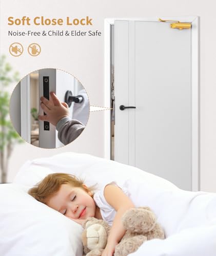 Dullgolden Hydraulic Door Closer Medium Size, Automatic No Slam for Home & Commercial Use - size: Medium, style: Dullgolden