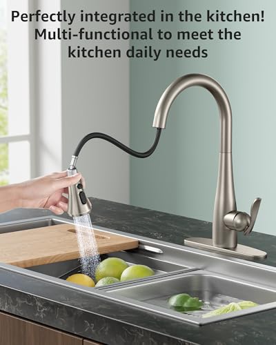 Mbillion Universal Brushed Nickel Kitchen Faucet Sprayer Head Replacement - color: Brushed Nickel