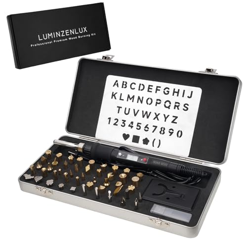 Professional Wood Burning Kit, 60 Pcs Adjustable Temperature Wood Burning Pen Set - Ultimate DIY Wood Burning Tool in Premium Metal Case, Ideal Gift for Pyrography, Wood, Leather, Carving, Soldering