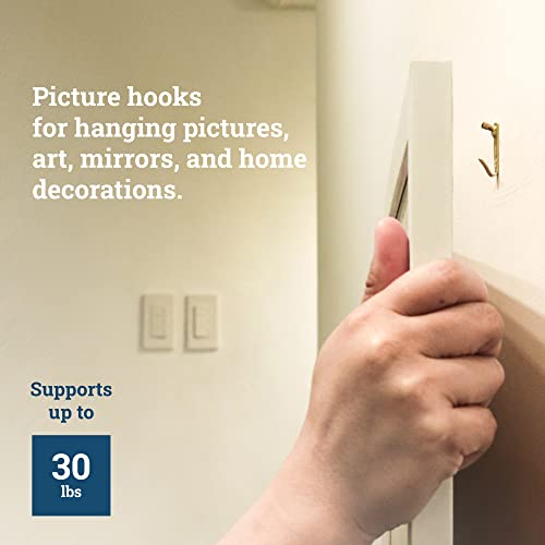 PHS 30 lb Plaster Wall Picture Hanging Hooks with Nails, 25 Pack