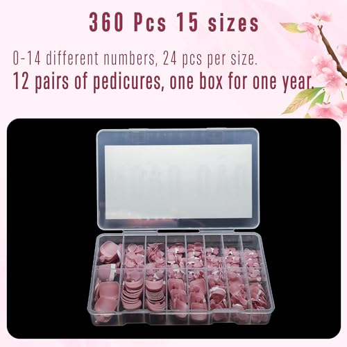 NOVO OVO Fake Toe Nail Tips Press on, French Tip Soft Gel Toenail Extension, BERRY PINK Square Round Pre-applied Tip Primer & Base Coat, Full Cover Matte False Nails for DIY x 15 Sizes 360Pcs - color: Square Round French Tip Berry Pink