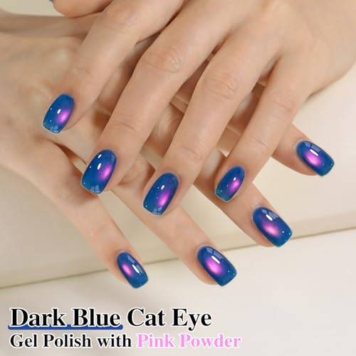 Double Rhythm Jelly Glass Cat Eye Gel Polish with Magnet 15ML Holographic Glitter Shimmer Translucent Sheer Color Magnetic Nail Polish Salon DIY at Home (Navy Blue-MC1264) - color: Aurora Blue Purple