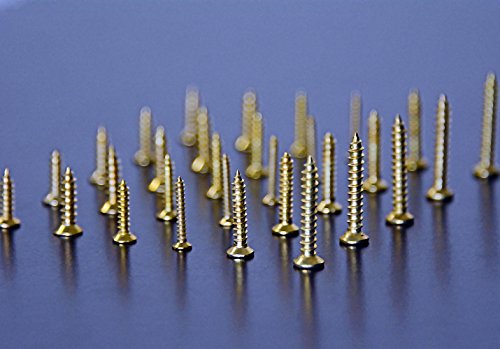 Swordfish 32051-500pc Brass Plated Wood Screw Assortment