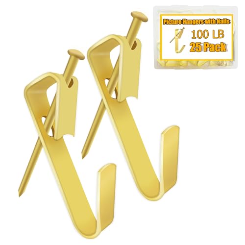 25PCS 100lbs Heavy Duty Picture Hangers with Nails,Picture Hanging Hooks,Heavy Picture Hanging Hardware Used in Wooden Wall & Drywall for Mirror, Photo Frame,Clock,House Decoration - style: Style B