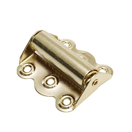 Litepak Screen Door Hinge Professional Grade Hardware Self-Closing Easy Install (2 Pack, Polished Brass) - color: Polished Brass, size: 2 Pack