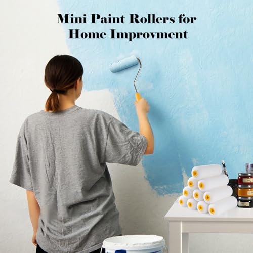 Mister Rui Mini Foam Paint Rollers, 4 Inch Paint Rollers 10 Pack