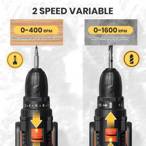 20V Cordless Drill Driver Set, Electric Power Screwdriver Drill with 2.0Ah Battery, 3/8" Keyless Chuck, 18+1 Torque Settings, 2 Speed, LED Light, 42PCS Accessory Kit